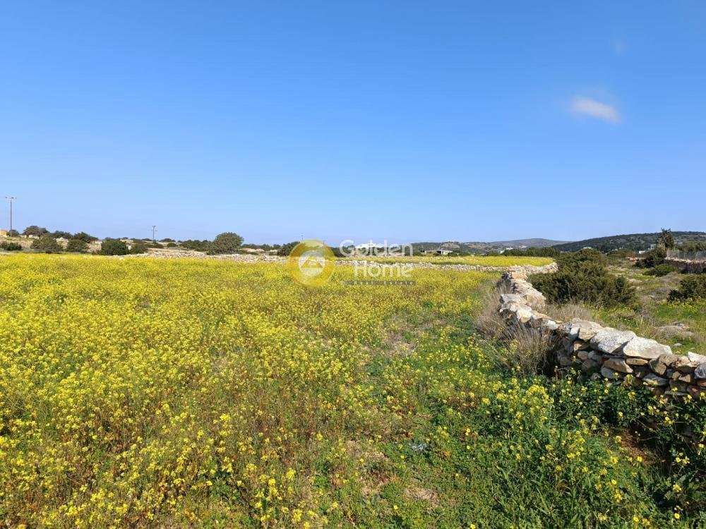 Land in Paros, Aegean, Greece 4 - 14371831