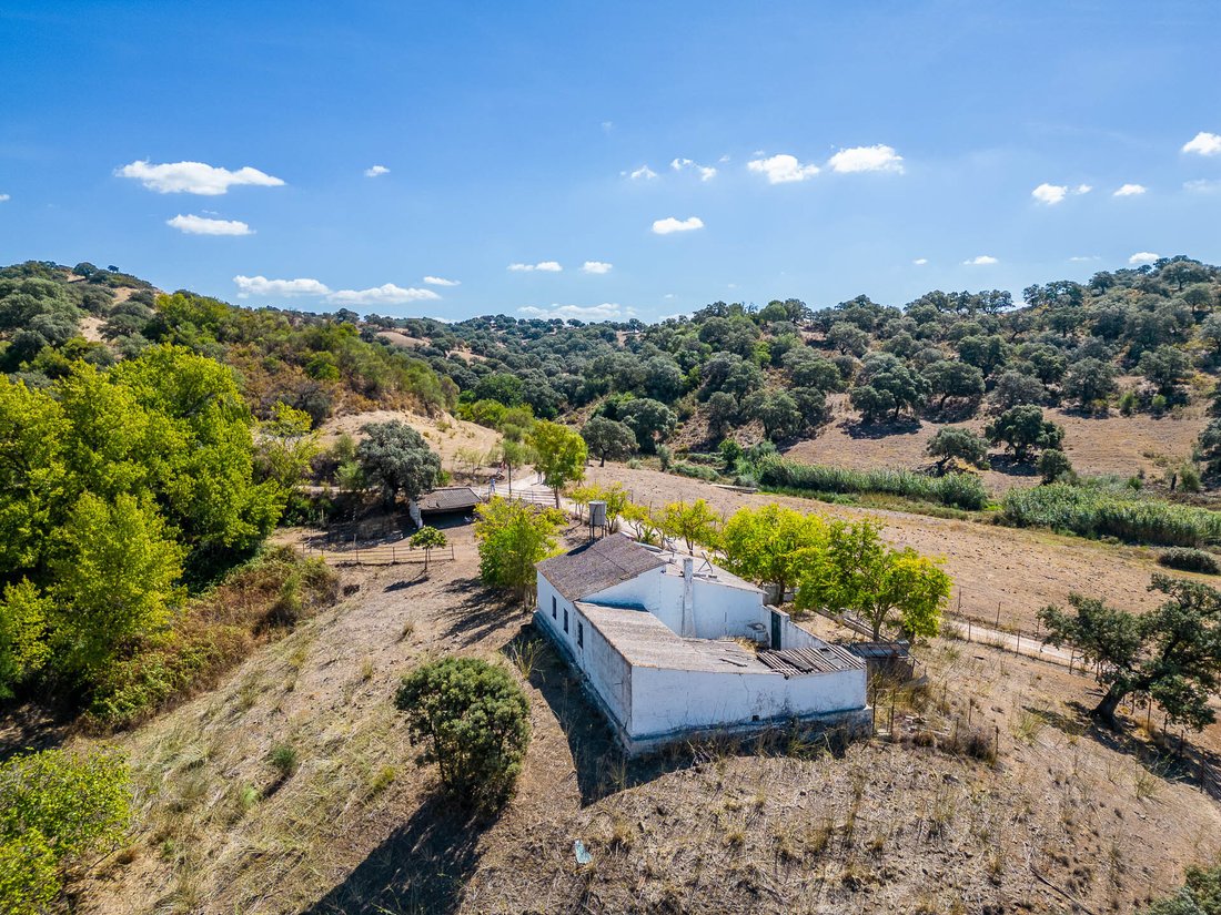 Farm Ranch in Coripe, Andalusia, Spain 2 - 14371833