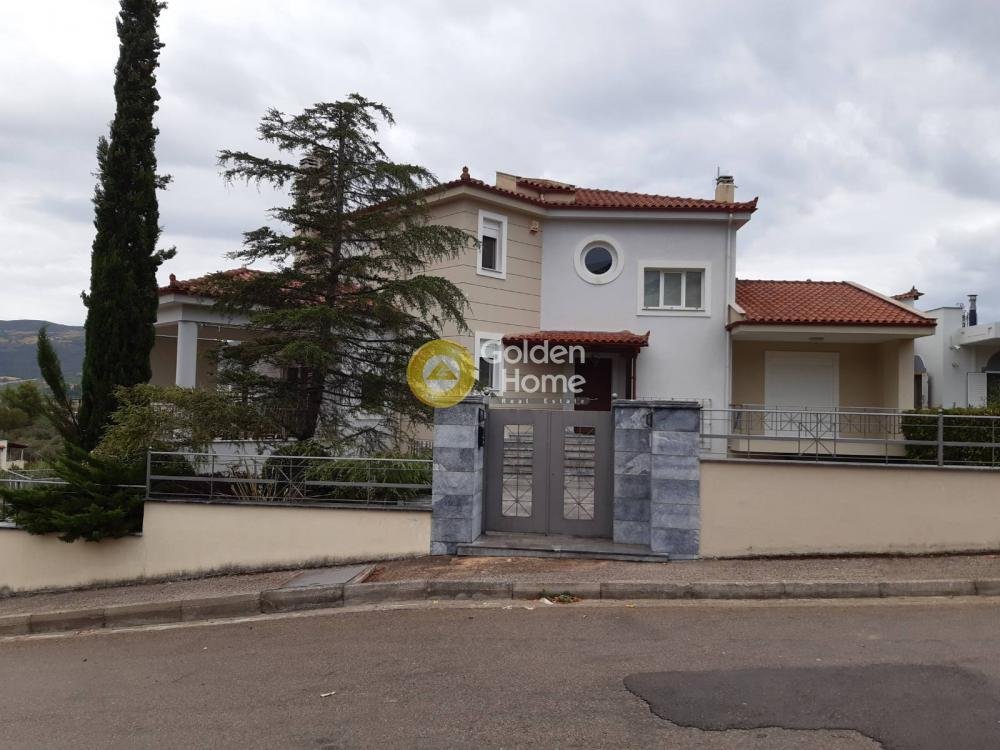 House in Levadeia Community, Levadia, Greece 5 - 14371063