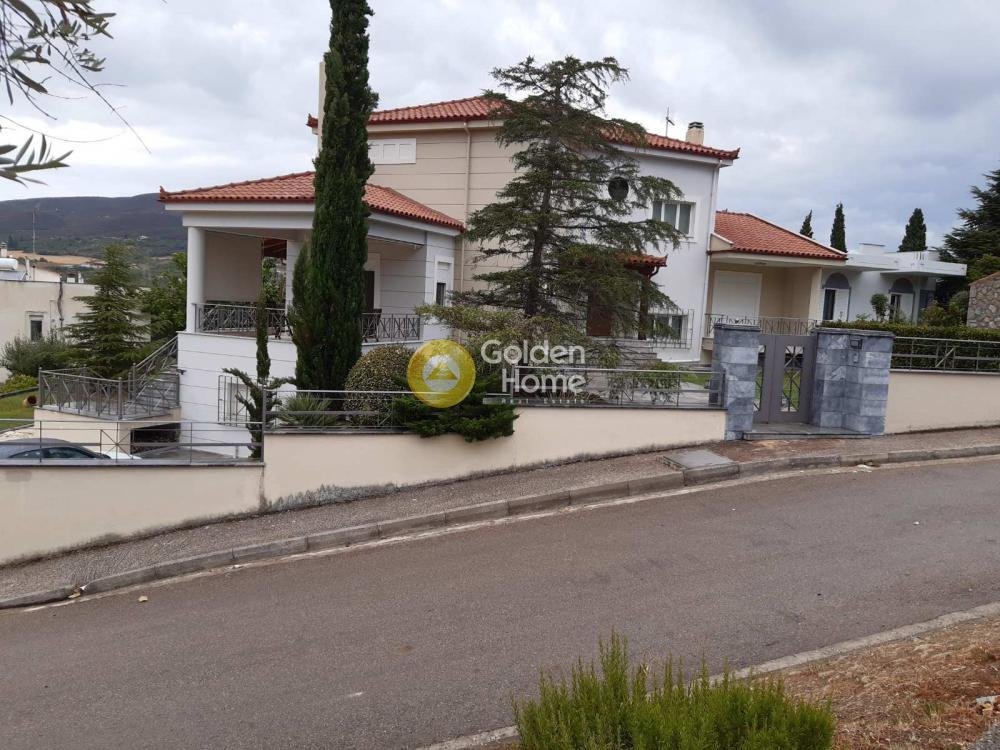 House in Levadeia Community, Levadia, Greece 3 - 14371063