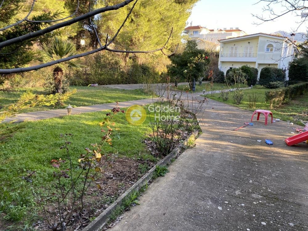 Land in Dionysos, Attica, Greece 2 - 14370710