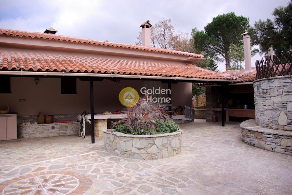 House in Oropos, Attica, Greece 1 - 14370419