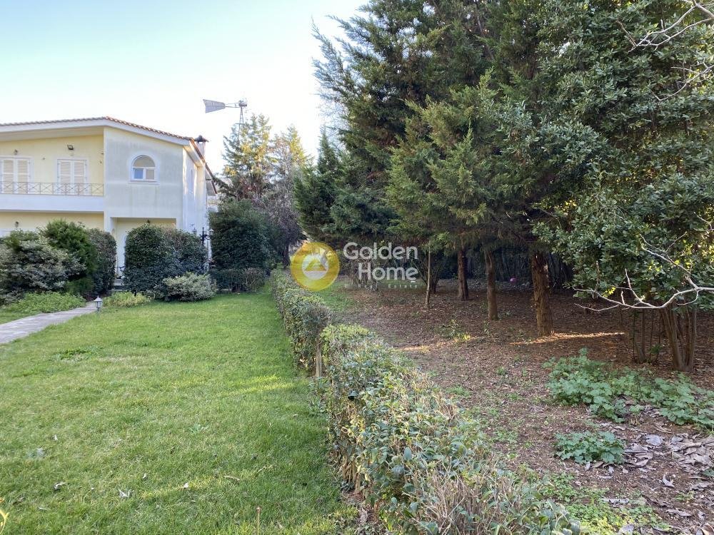Land in Dionysos, Attica, Greece 4 - 14370710