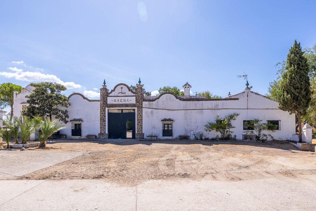 Farm Ranch in Coripe, Andalusia, Spain 3 - 14371833