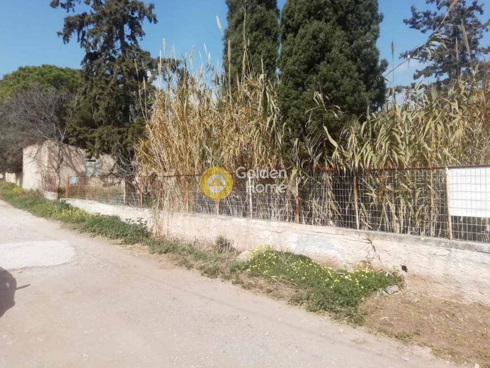 Land in Kropia, Attica, Greece 3 - 14371163