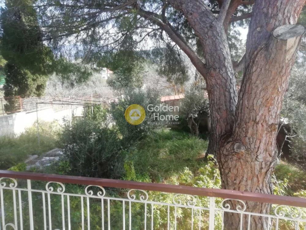 Land in Kropia, Attica, Greece 2 - 14371163