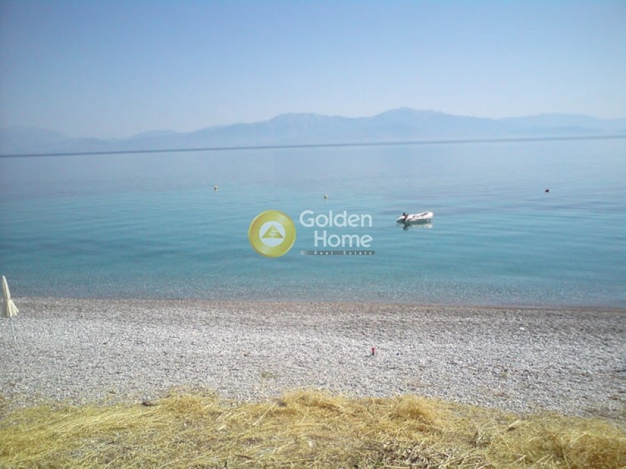 Estate in Melissi Community, Xylokastro, Greece 3 - 14371039