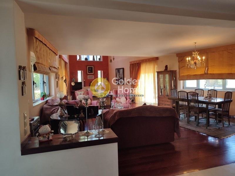 House in Acharnes, Attica, Greece 1 - 14370299