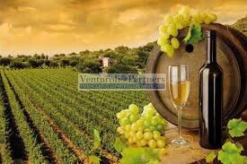 Land in Lonato del Garda, Lombardy, Italy 5 - 14374743