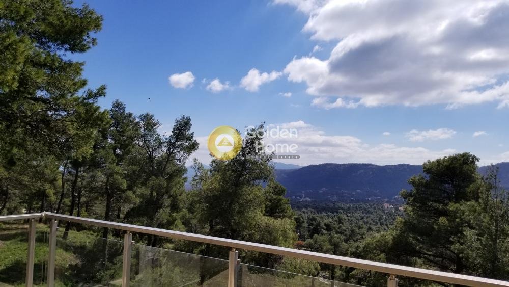 House in Oropos, Attica, Greece 3 - 14370227