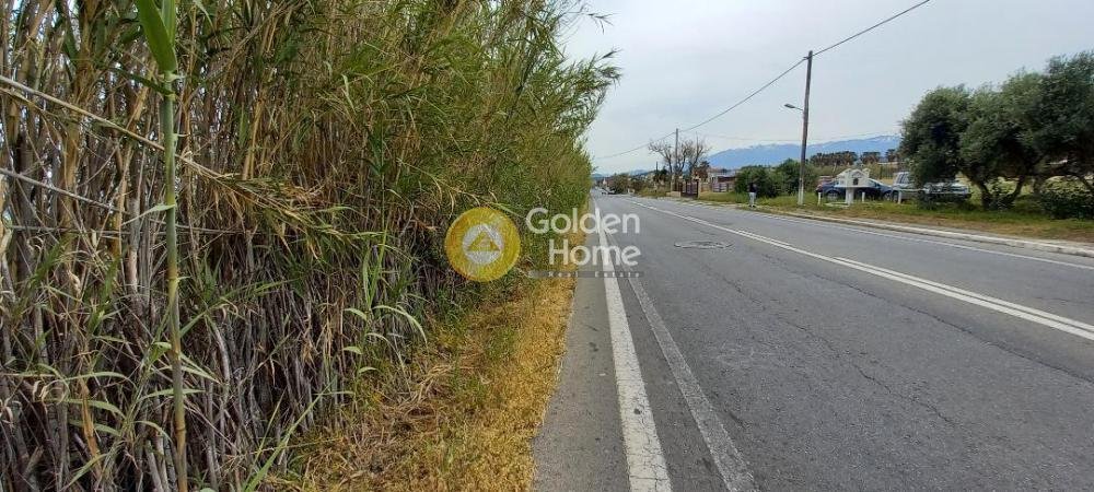 Land in Platanias, Greece 4 - 14371333