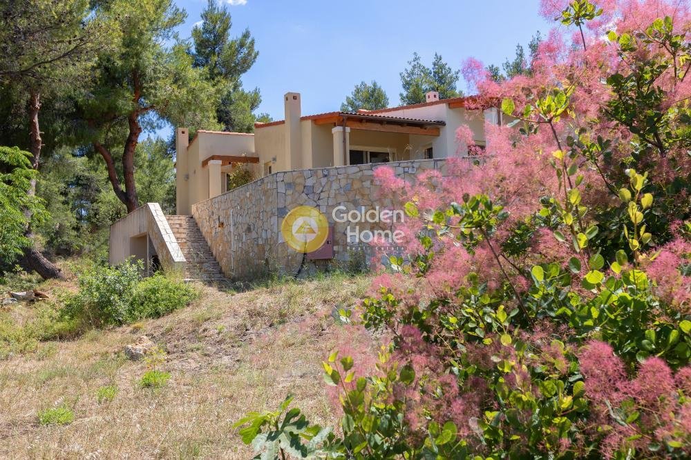 House in Oropos, Attica, Greece 4 - 14370215