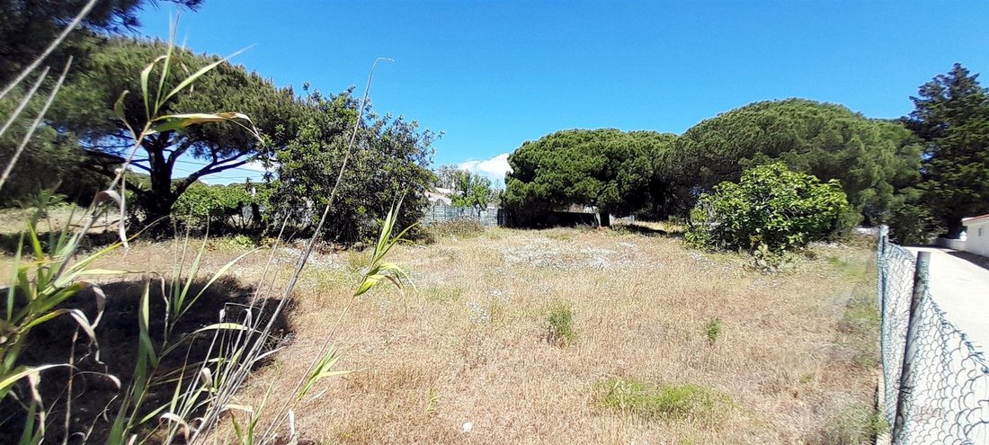 Land in Almancil, Algarve, Portugal 4 - 14374146