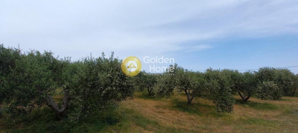 Land in Platanias, Greece 5 - 14371333