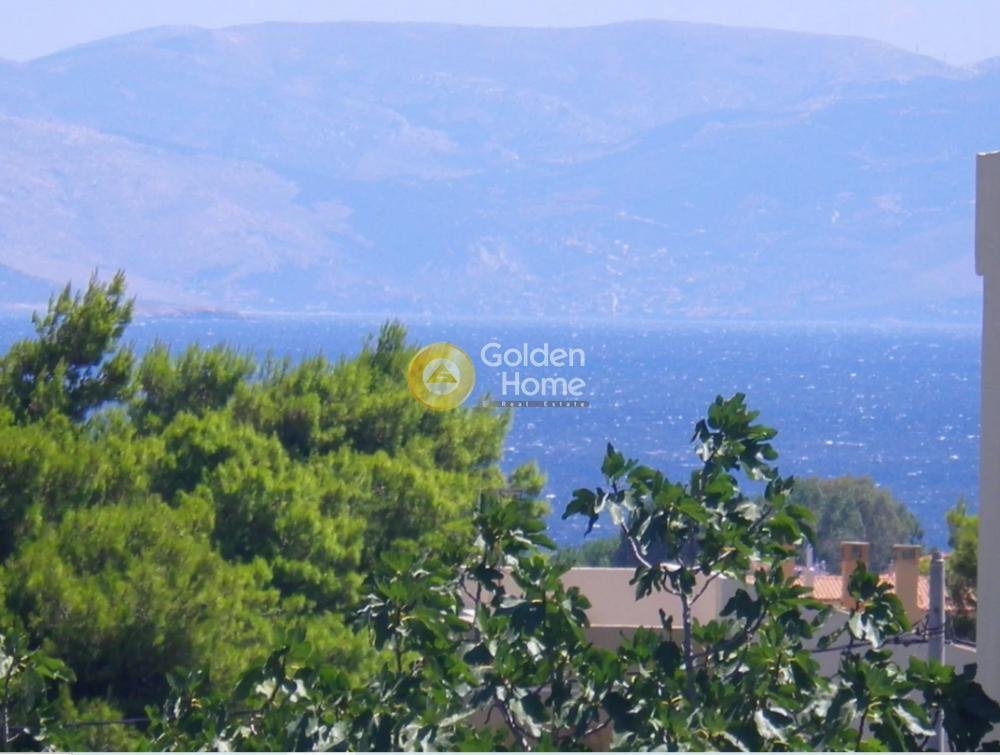 House in Nea Makri, Attica, Greece 1 - 14371307