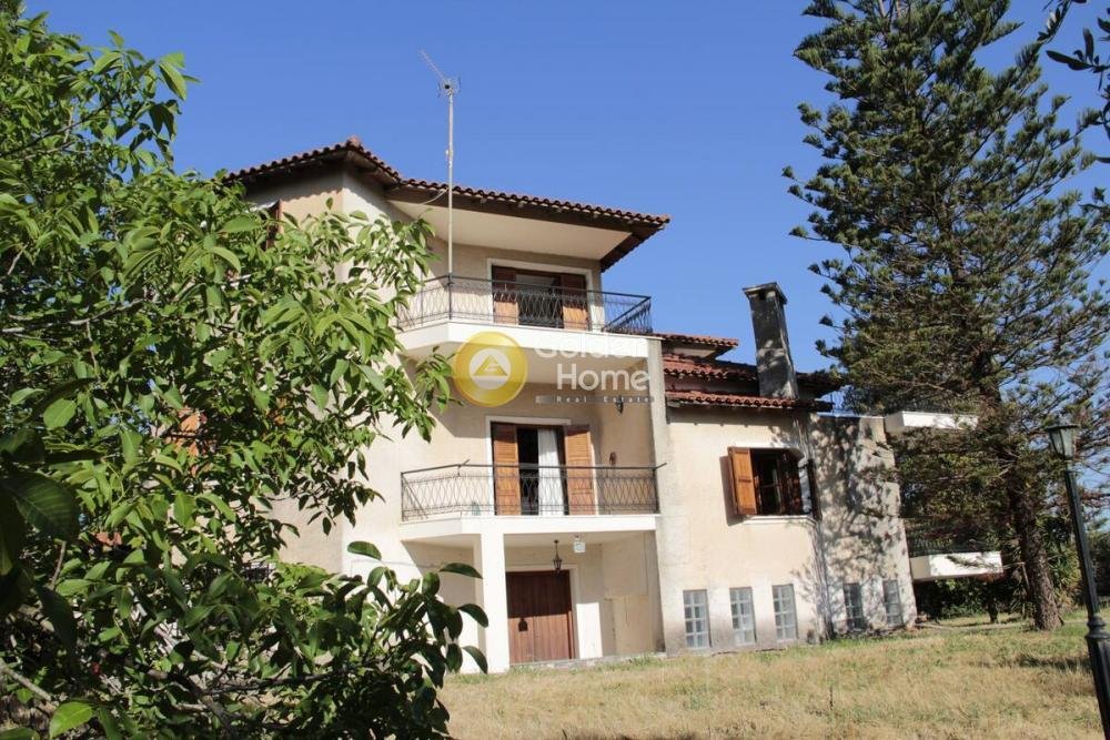 House in Amaliada, Peloponnese, Western Greece and the Ionian, Greece 1 - 14370333