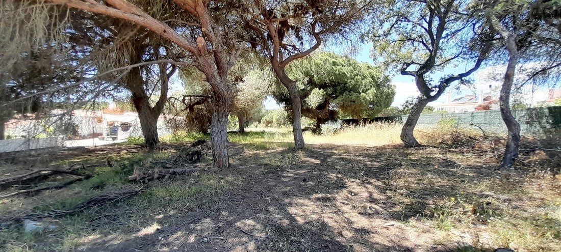 Land in Almancil, Algarve, Portugal 3 - 14374146