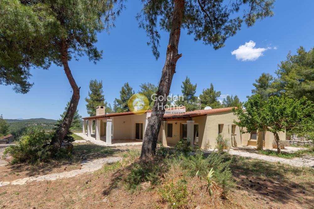 House in Oropos, Attica, Greece 1 - 14370215