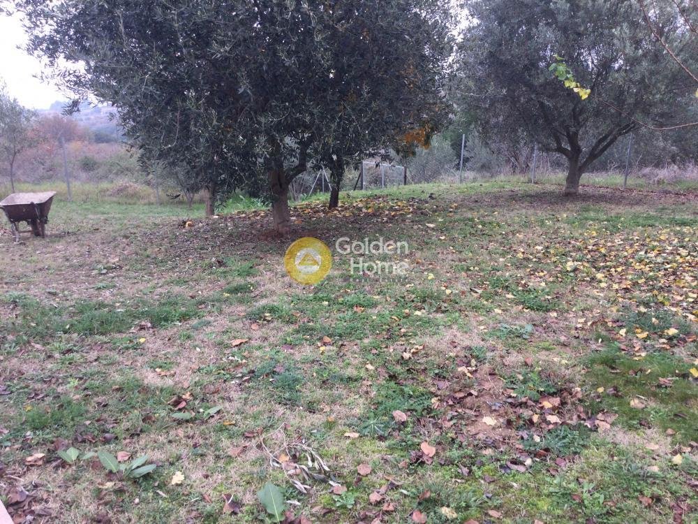 House in Central Macedonia, Macedonia and Thrace, Greece 5 - 14370608
