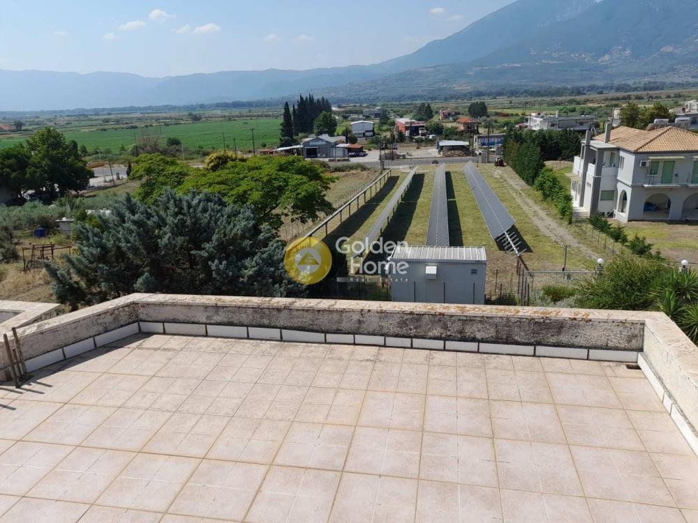House in Lamia, Thessaly and Central Greece, Greece 4 - 14370381