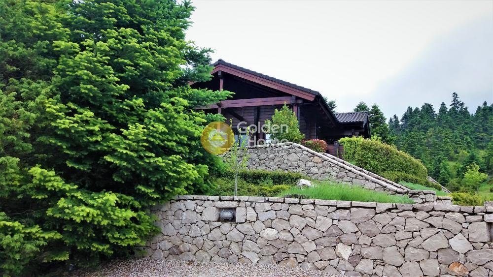 House in Koinotita Eptalophou, Parnassos, Greece 3 - 14370564