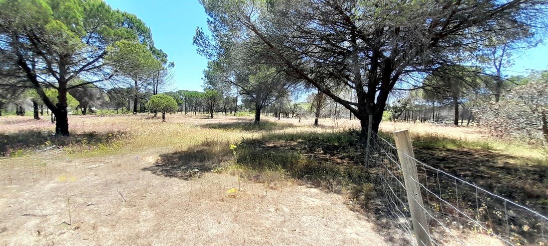 Land in Almancil, Algarve, Portugal 5 - 14374146
