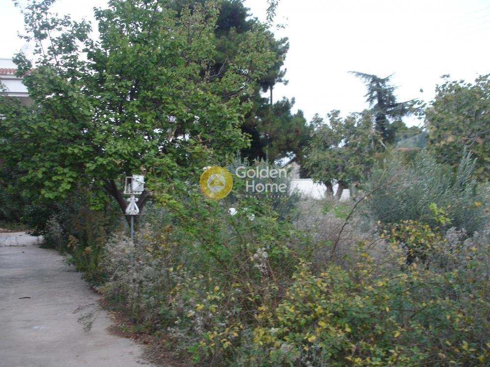 Land in North Athens, Attica, Greece 4 - 14371205