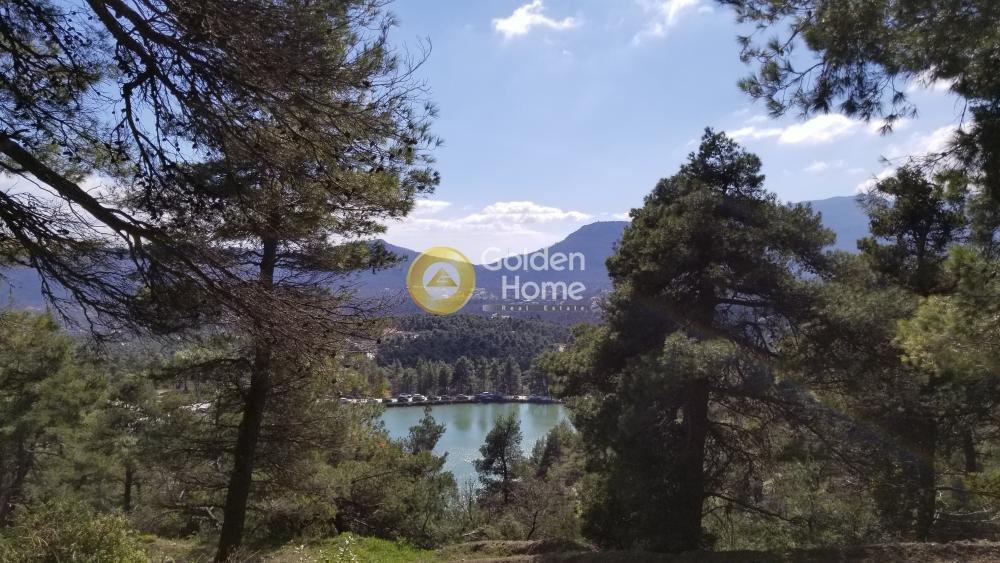 House in Oropos, Attica, Greece 1 - 14370227