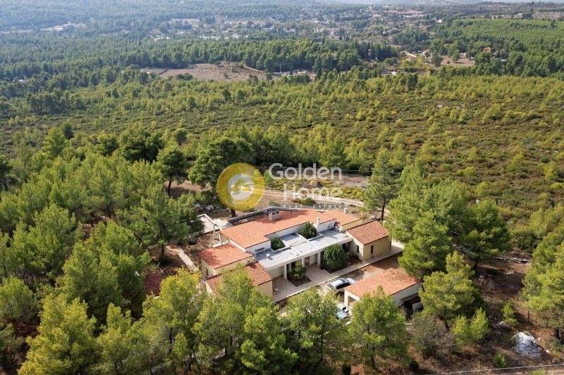 House in Oropos, Attica, Greece 3 - 14370215