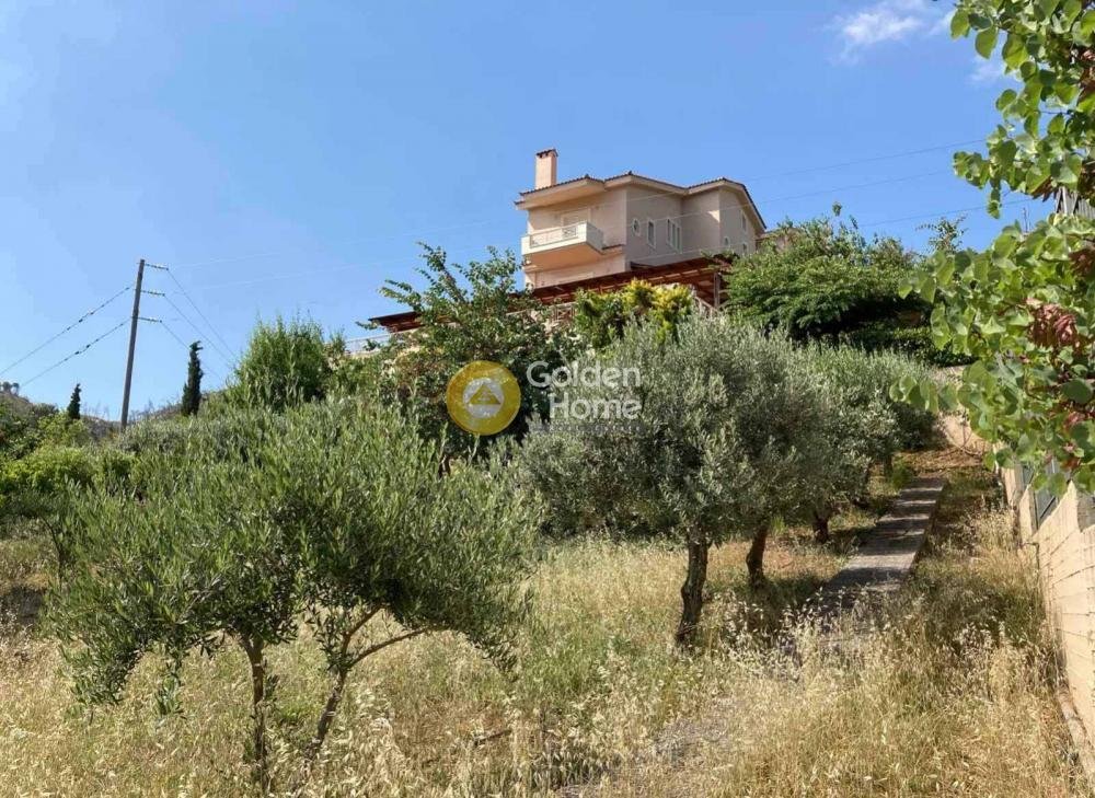 House in Oropos, Attica, Greece 5 - 14370699