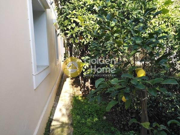 House in Pefki, Attica, Greece 5 - 14371856