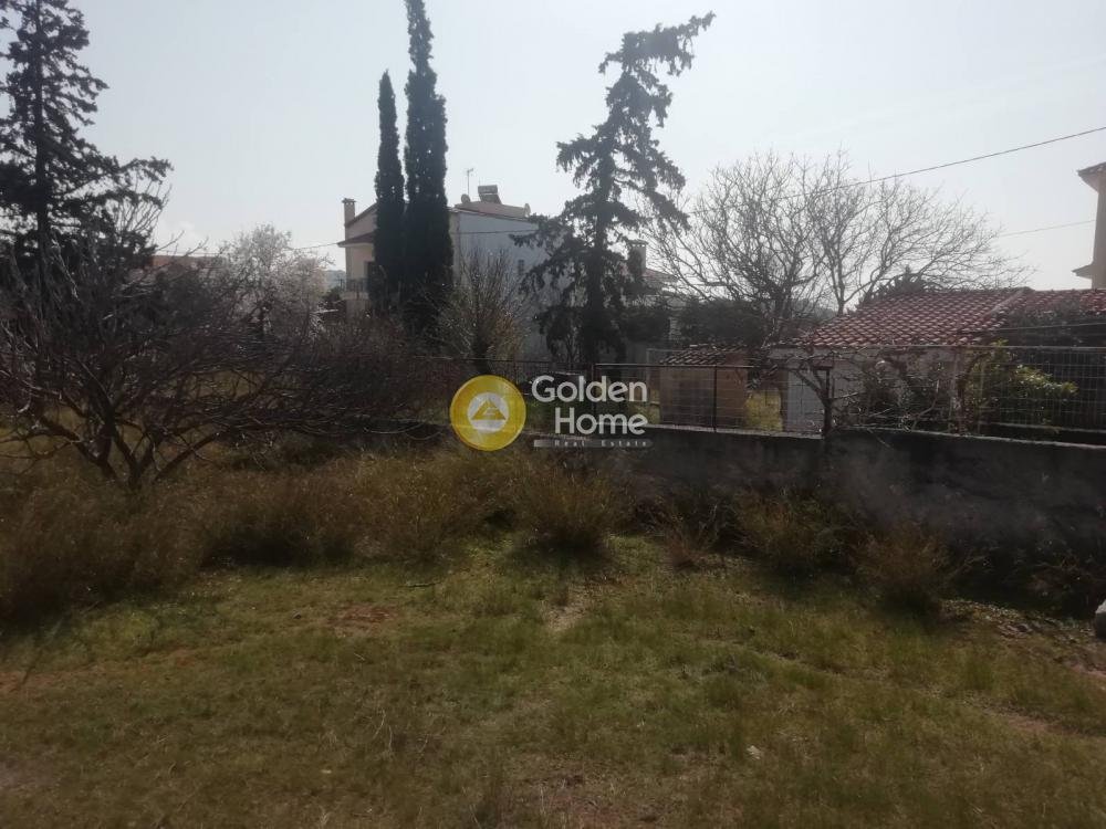 Land in Kropia, Attica, Greece 5 - 14371163