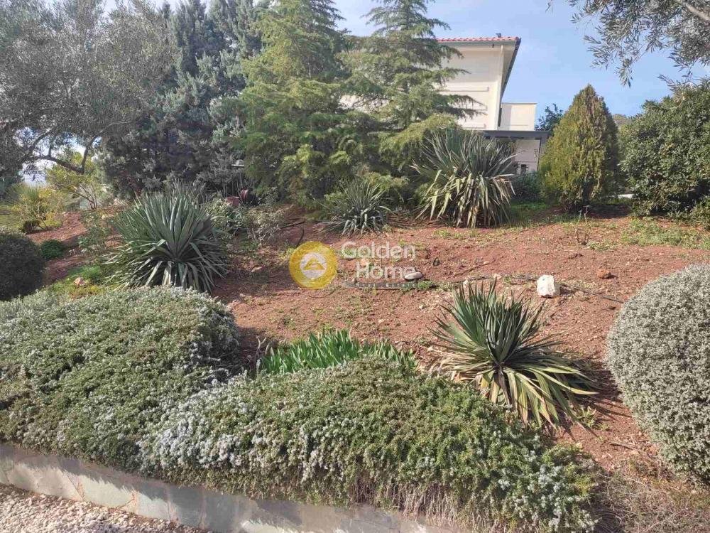 House in Community of Loutraki - Perachora, Loutraki - Perachora, Greece 5 - 14370410