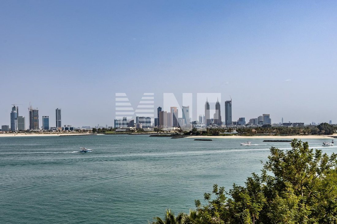 Apartment in Palm Jumeirah, Dubai, United Arab Emirates 4 - 14382156