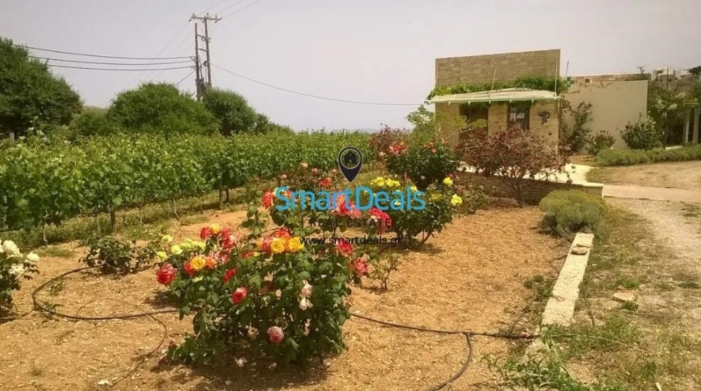 Condo in Community of Folegandros, Aegean, Greece 2 - 14382440