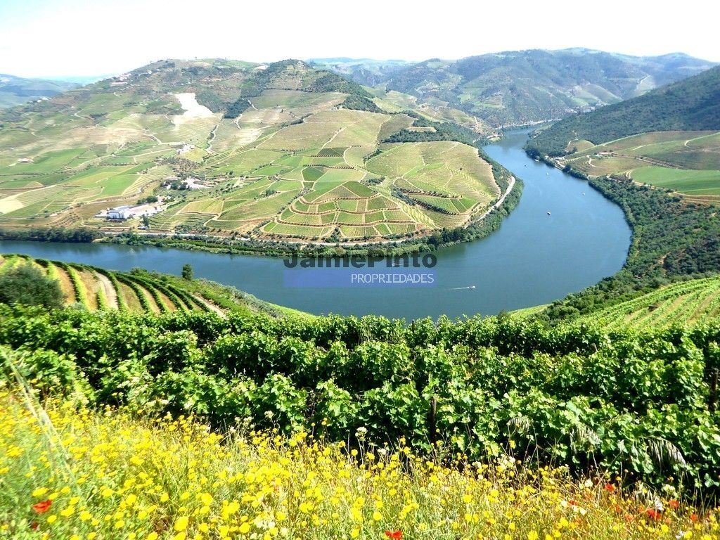 Farm Ranch in Pinhao, Vila Real District, Portugal 4 - 14381443