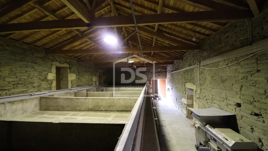 Farm Ranch in Adeganha e Cardanha, Braganca District, Portugal 5 - 14376125