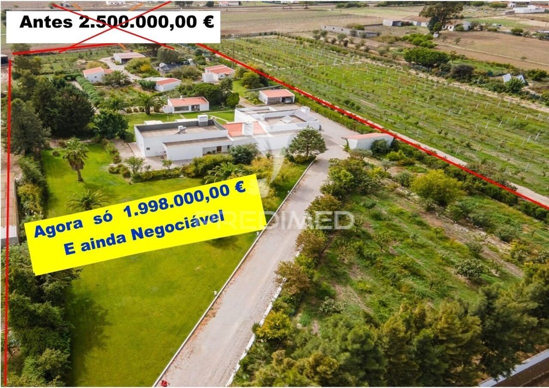 Farm Ranch in Poceirao e Marateca, Setubal, Portugal 1 - 12859372