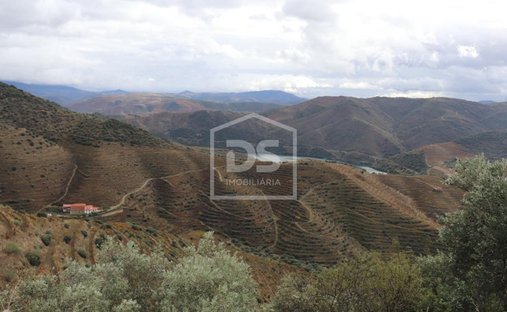 Azienda agricola a Adeganha e Cardanha, Distretto di Braganza, Portogallo 1