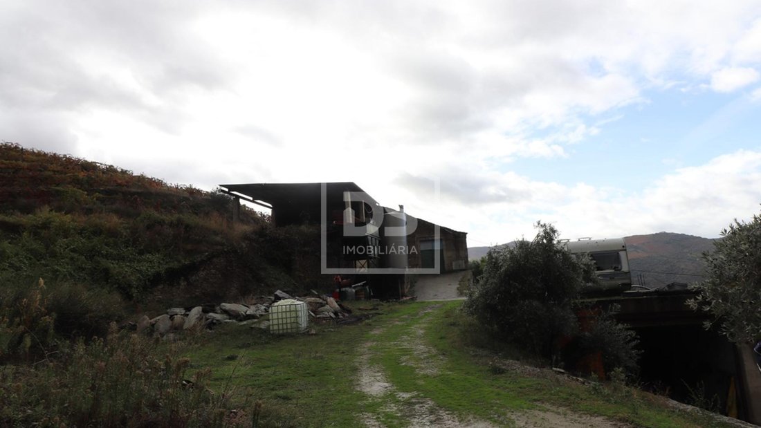 Farm Ranch in Adeganha e Cardanha, Braganca District, Portugal 2 - 14376125