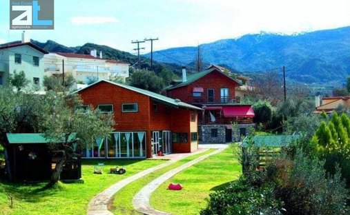 Kato Kastritsi Community, Peloponnese, Western Greece and the Ionian, Greece 1