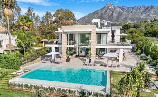 House in Golden Mile, Andalusia, Spain 1