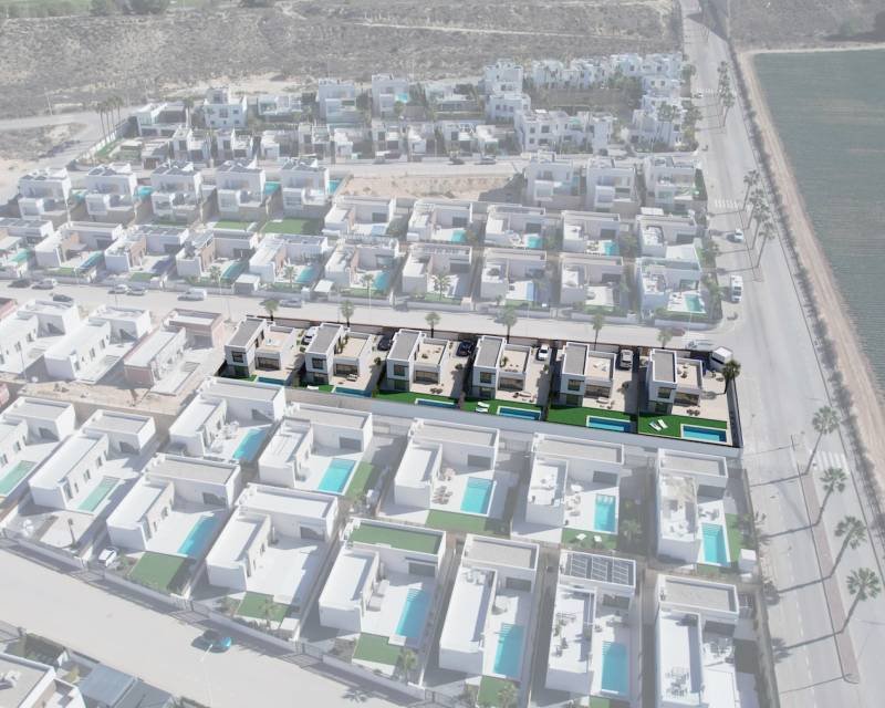 Villa in Algorfa, Valencian Community, Spain 4 - 14377206