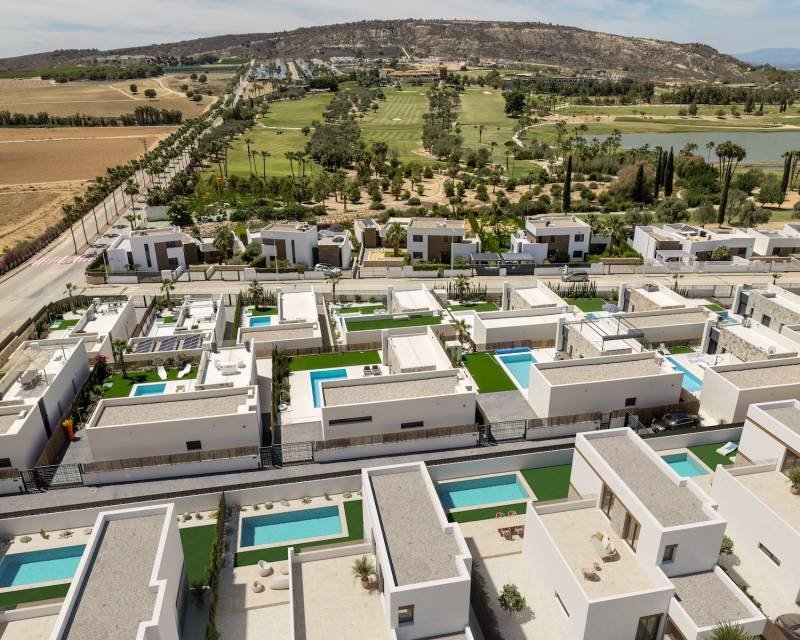 Villa in Algorfa, Valencian Community, Spain 3 - 14377206