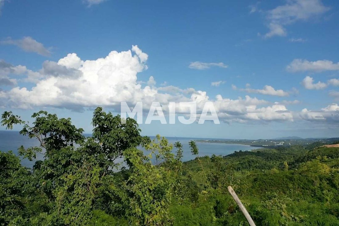 Terrain à Las Terrenas, Santa Bárbara de Samaná, République dominicaine 4 - 12472152
