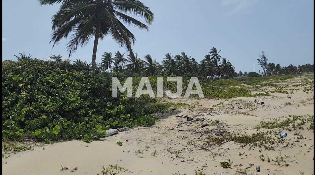 Autres à Cabarete, Puerto Plata, République dominicaine 4 - 13010395