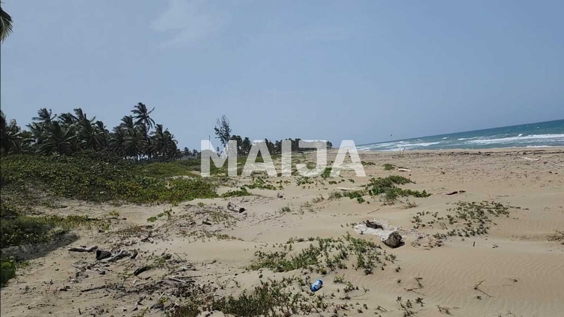 Autres à Cabarete, Puerto Plata, République dominicaine 5 - 13010395