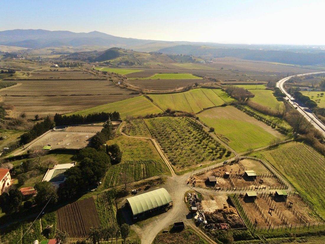 Villa a Rosignano Marittimo, Toscana, Italia 4 - 14384030
