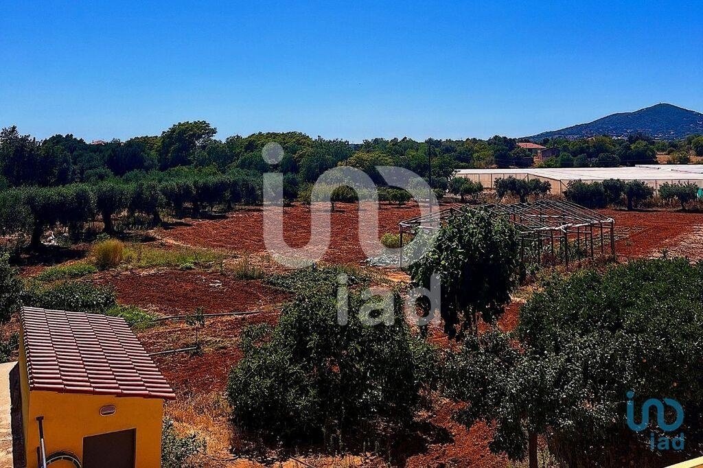 Townhouse in Estoi, Algarve, Portugal 4 - 14386398