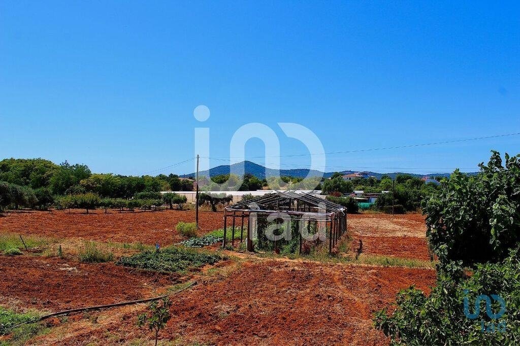 Townhouse in Estoi, Algarve, Portugal 5 - 14386398